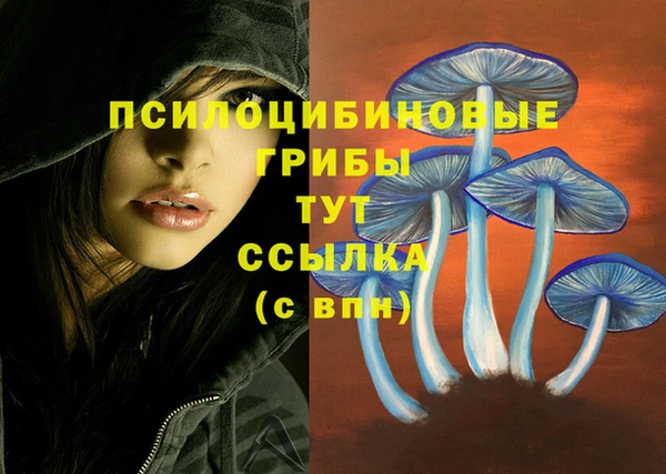 дмт Армянск