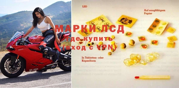 гашик Аркадак