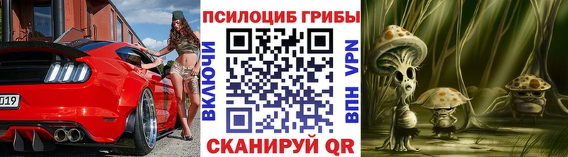 купить   Межгорье  Псилоцибиновые грибы Psilocybe 